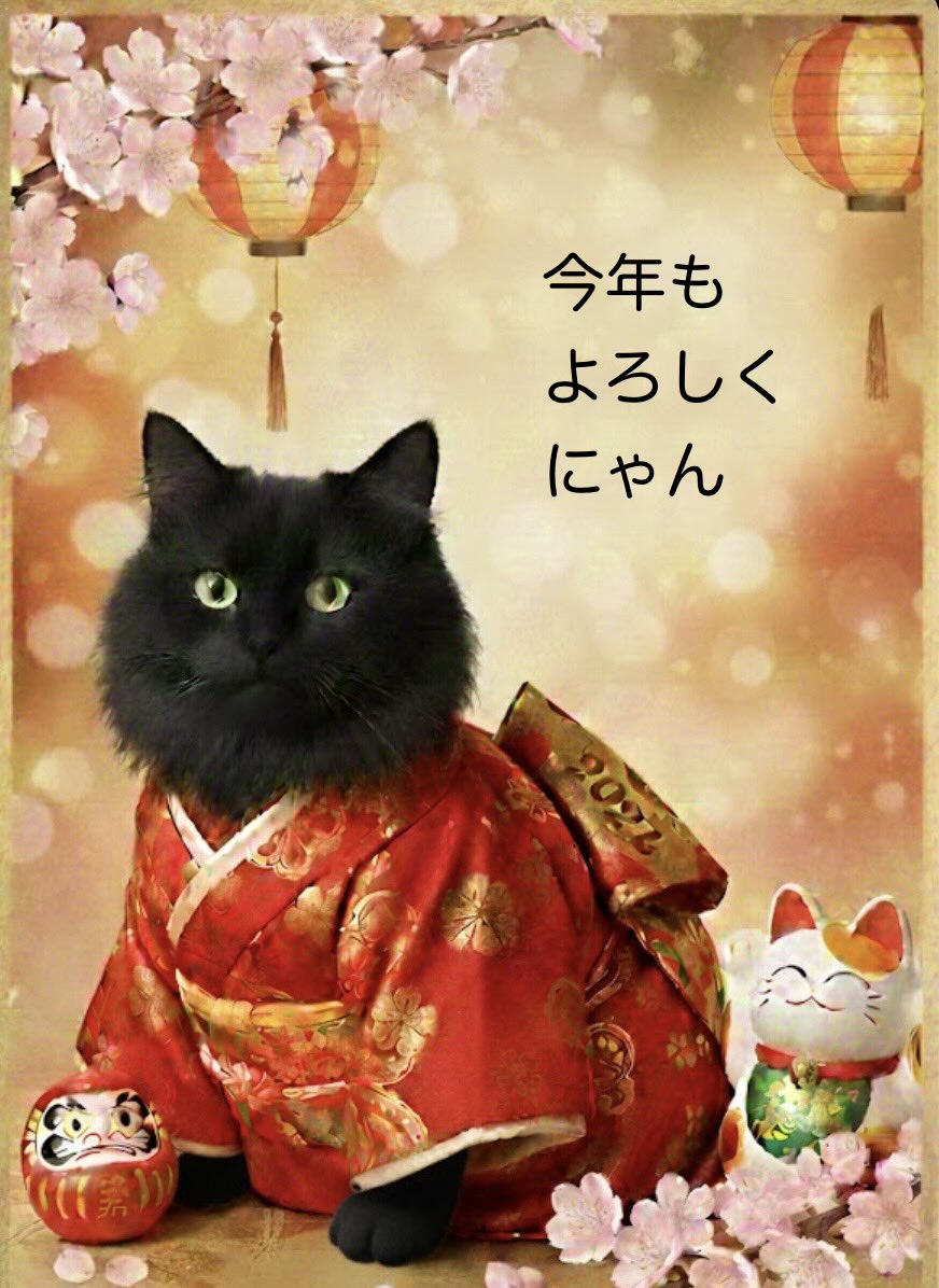 長毛黒猫全員クローン？説@ppgj (@Ppgj13Ppgj) / Posts / X