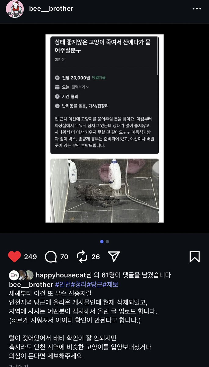 instagram.com/p/DS97o2OEs8L/… #인천 #청라 #당근 #제보
인천지역 당근에 올라온 게시물인데 현재 삭제되었고, 지역에 사시는 어떤분이 캡처해서 올린 글 업로드 합니다.
털이 젖어있어서 태비 확인이 잘 안되지만 혹시라도 인천 지역에 비슷한 고양이를 입양보내셨거나 의심이 든다면 제보해주세요.