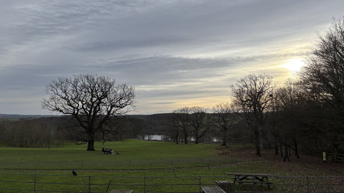 Danny Martin tweet media