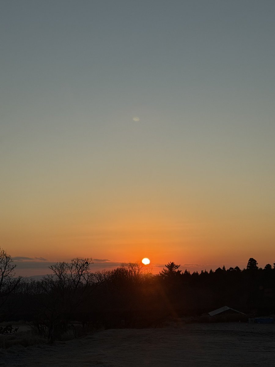 tesouuranaiemi's tweet image. あけましておめでとうございます。
今年もよろしくお願いします。