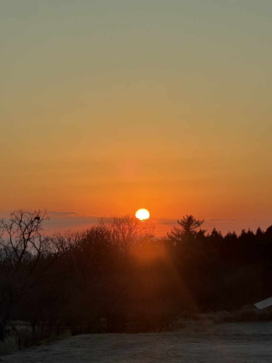 tesouuranaiemi's tweet image. あけましておめでとうございます。
今年もよろしくお願いします。