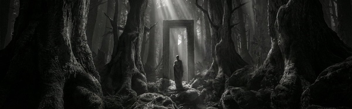 REYA token plays a role in the ecosystem

Protocol fees are used to buy back REYA from the market

This mechanism supports the token's value over time

It’s a clear commitment to its economic health reya.xyz <a href="/reya_xyz/">Reya</a>