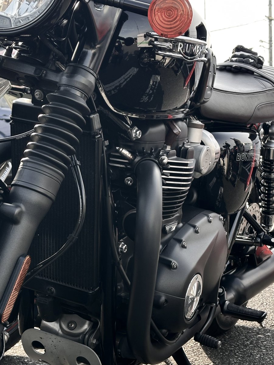 るか🪼T120 tweet media