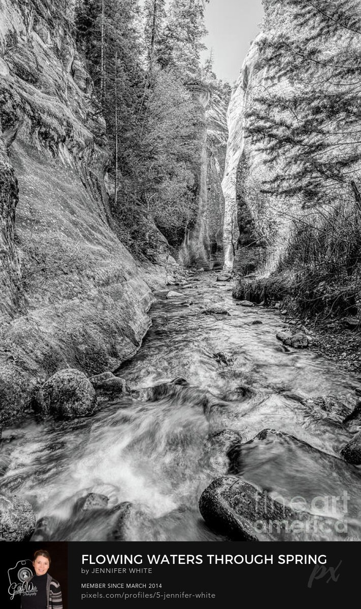 Jennifer White Timeless Moments Photography, LLC tweet media