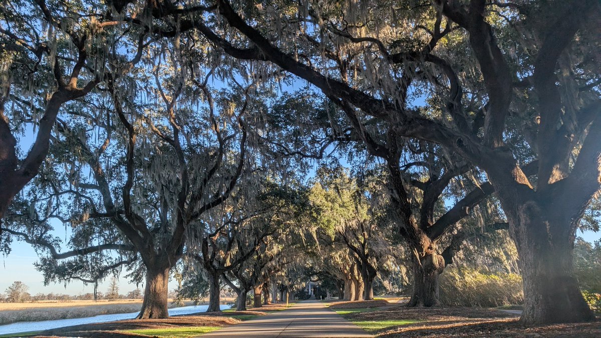 Happy New Year everyone, starting 2026 with a special one <a href="/CaledoniaGolfFi/">CaledoniaGolfFish</a> ❤️