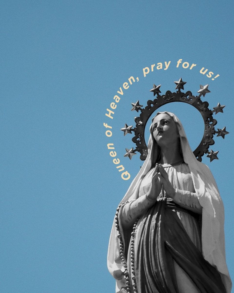 Life Teen tweet media