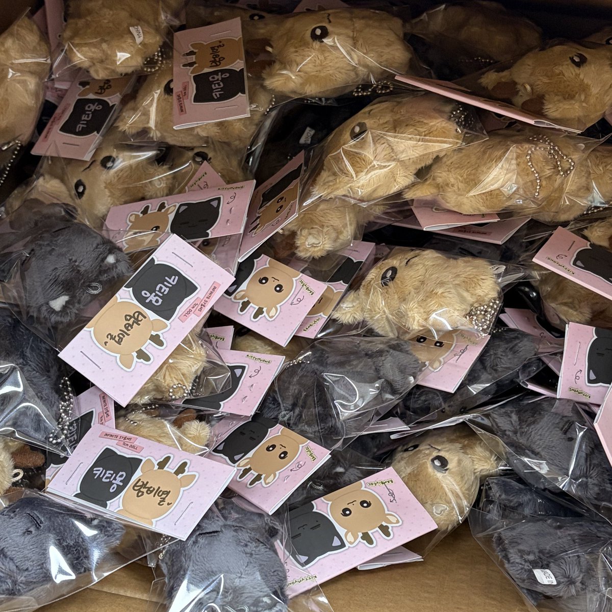 밤비열&키티묭 tweet media