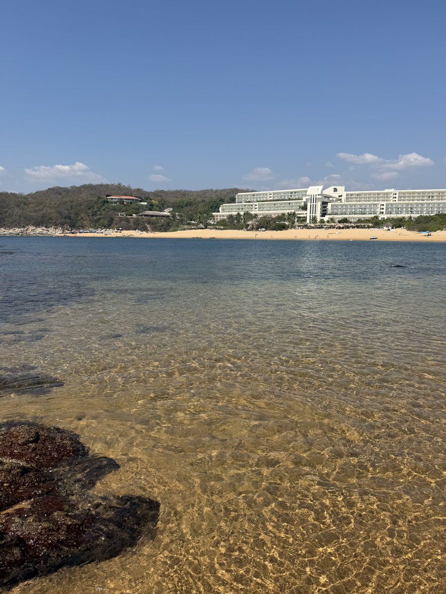 FerCesarmanM's tweet image. Buenos días amigos invisibles! 
Que hoy sea el inicio de un gran año!
Café? ☕️