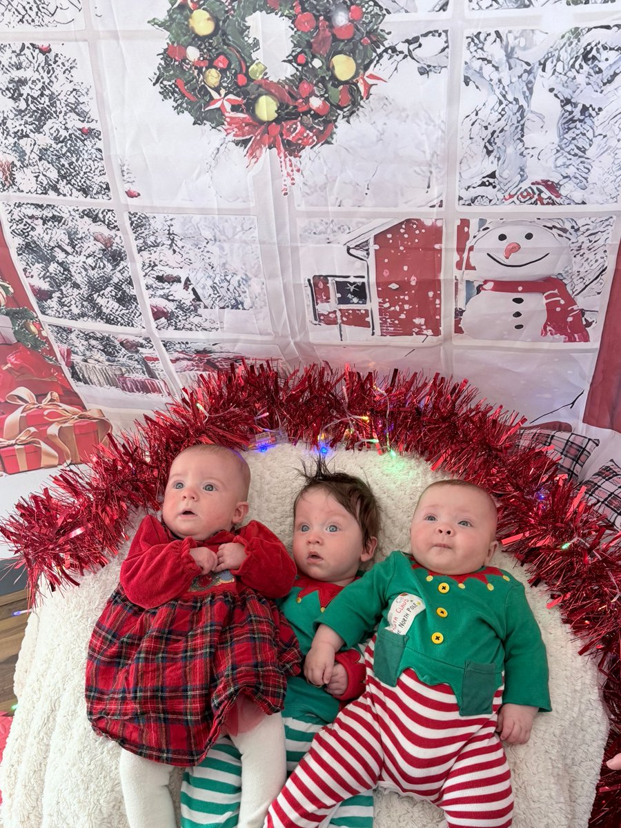 SNUG in Devon tweet media