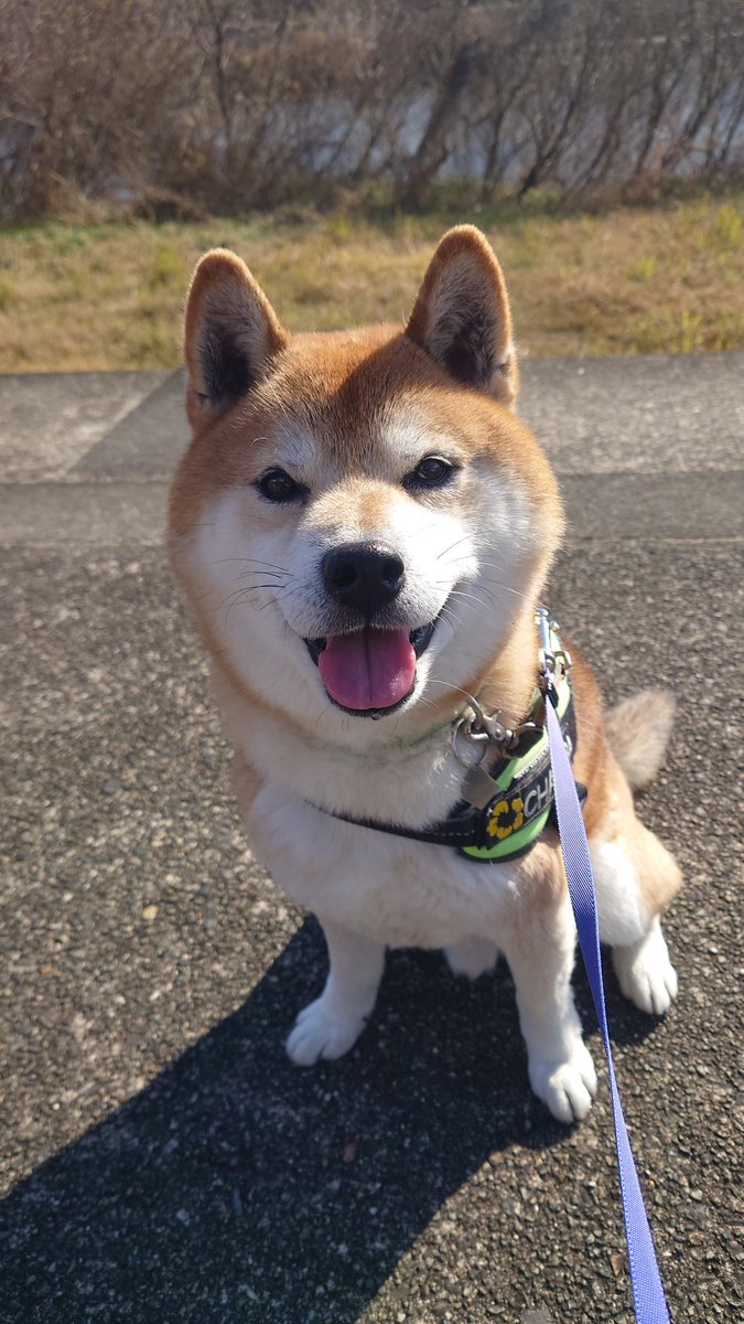 今年もよろしくお願いいたします🤟🏽