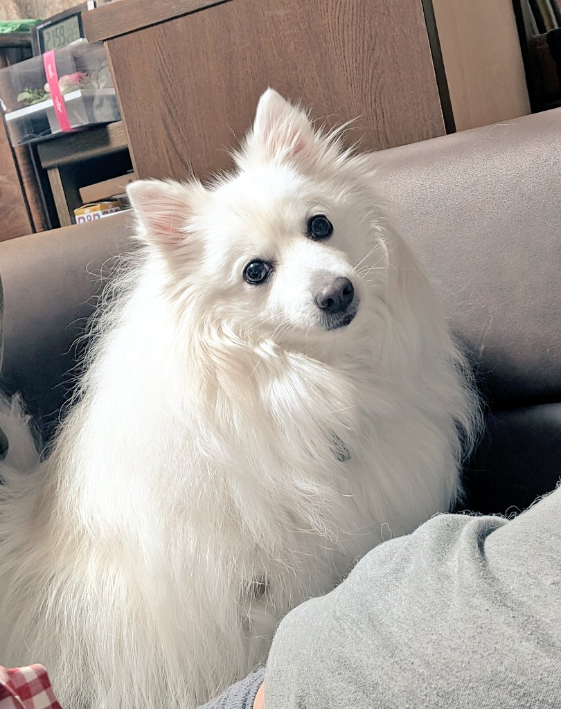 実家でゴロゴロしたので明日から仕事頑張るぞ💪