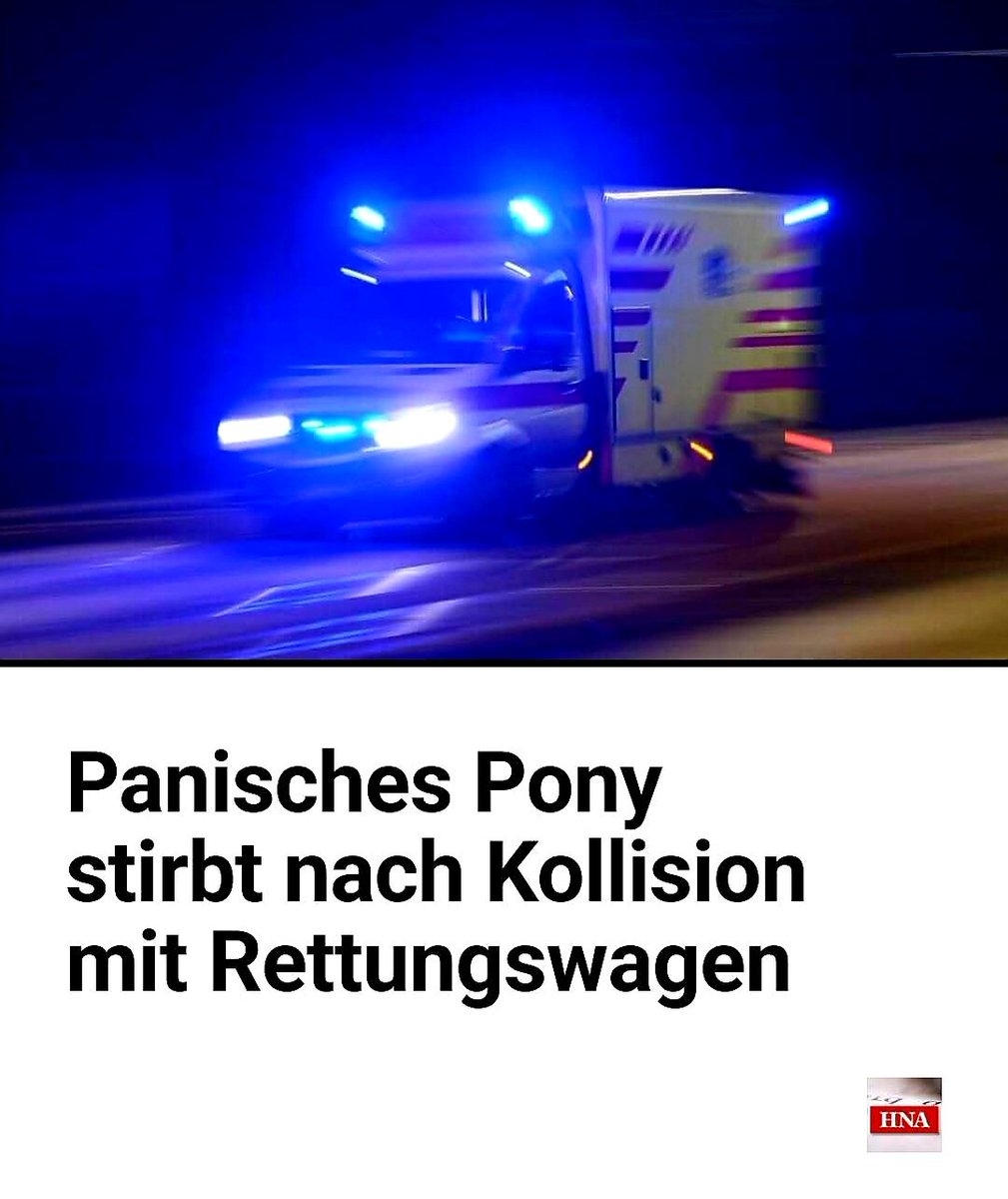 .
Maar...

De Wolf dan? 🙄

#wolf
.