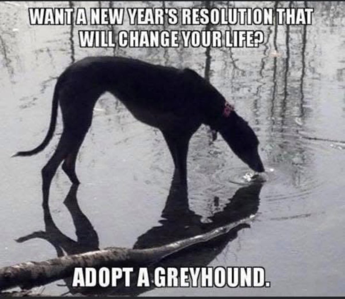 ClaireBines1's tweet photo. You will thank me….. https://t.co/snNcsSpli7