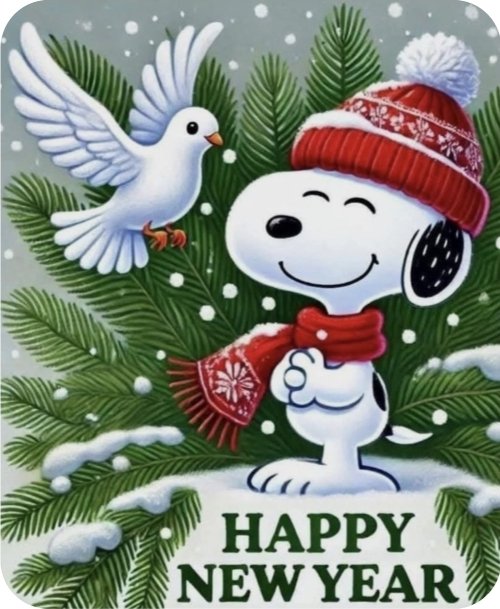 Morning.................................🌄
#HappyNewYear2026 🥂