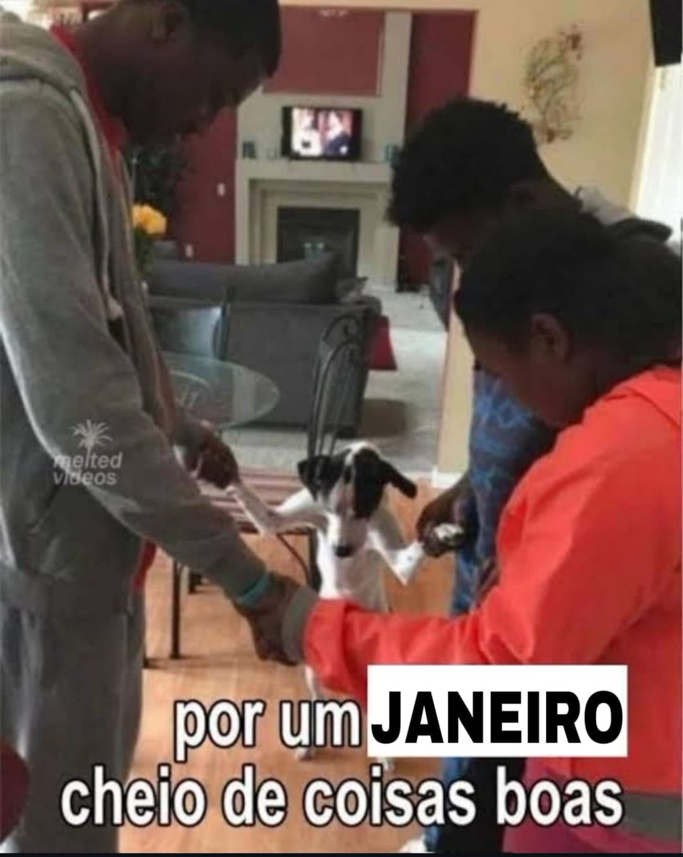 mel (@meltedvideos) on Twitter photo 