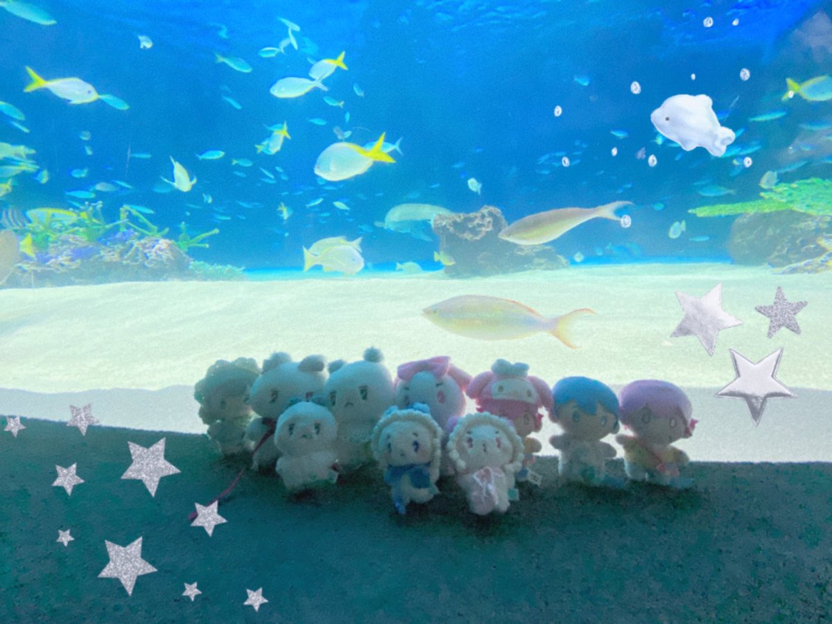 🐠🐬🐟🪼🪸🐚