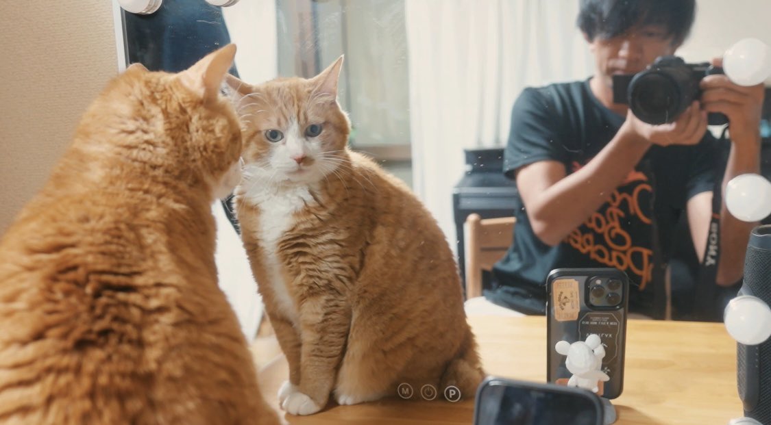 sudatch's tweet image. 2026.01.01

明けましておめでとう御座います！
今年は年男🐴

自分なりにゆっくりと駆け抜けていこうと思います🐎💨
今年もよろしくお願いいたします！！

📸1.茶トラのみいちゃん
📸2.3.林家特製ローストビーフ
📸4.宮崎地鶏の鳥刺し
📸5.スイーツ屋さんのテイクアウトつけ麺(めっちゃ旨い)