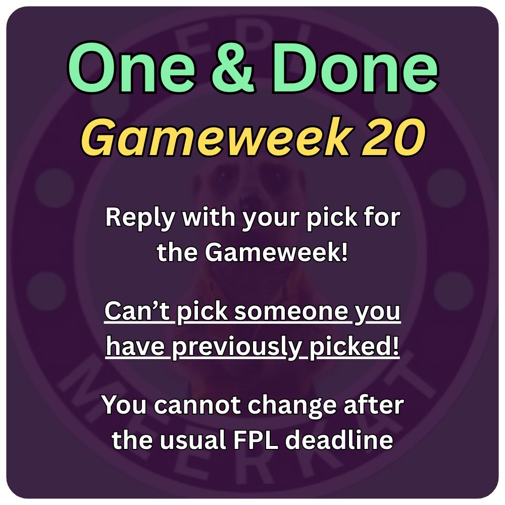 FPL Meerkat tweet media