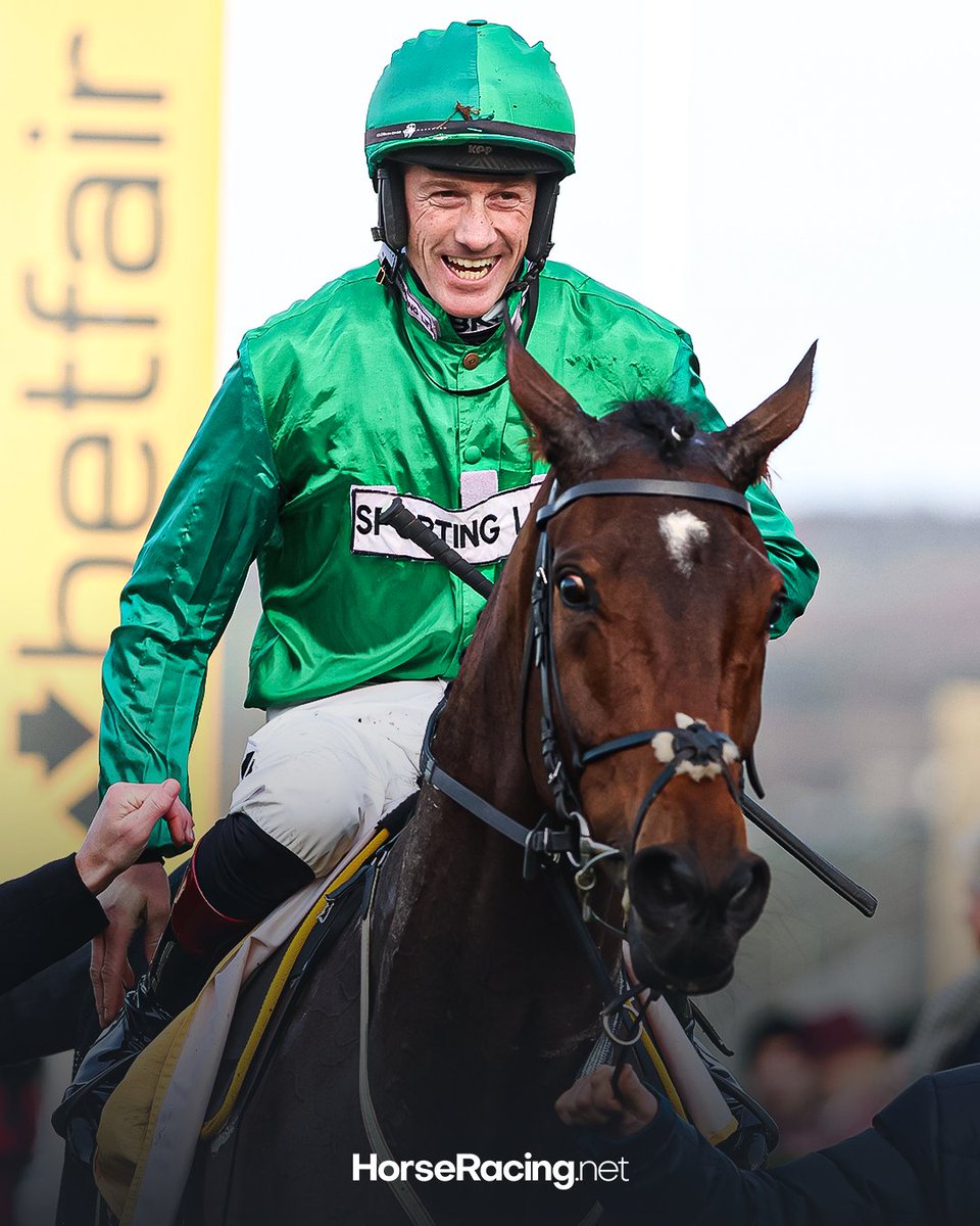 HorseRacing.net tweet media