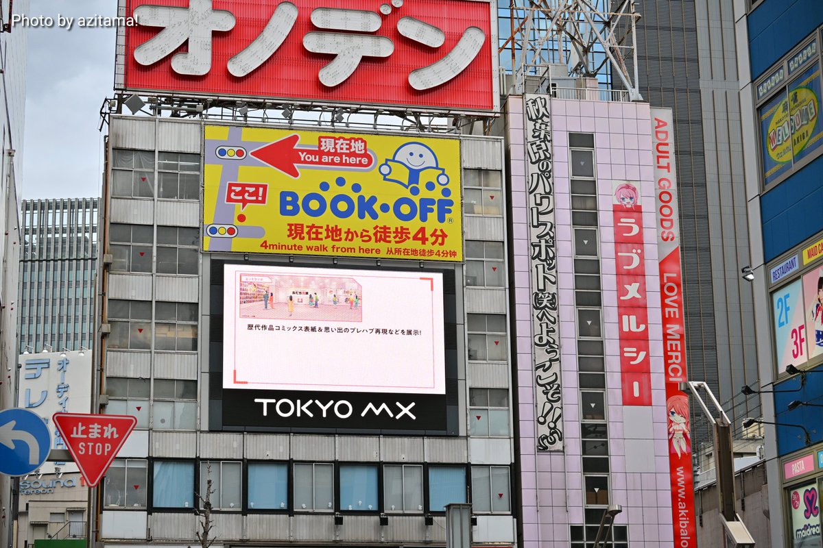 マートです‼️ 他の方は購入されないで下さい。 （十寿円満図） 4478117268.jpg