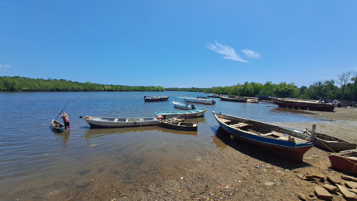 Steve O. tweet media