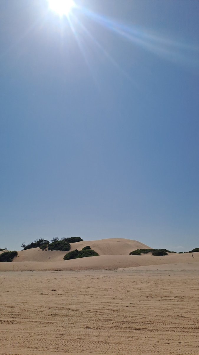 Steve O. tweet media