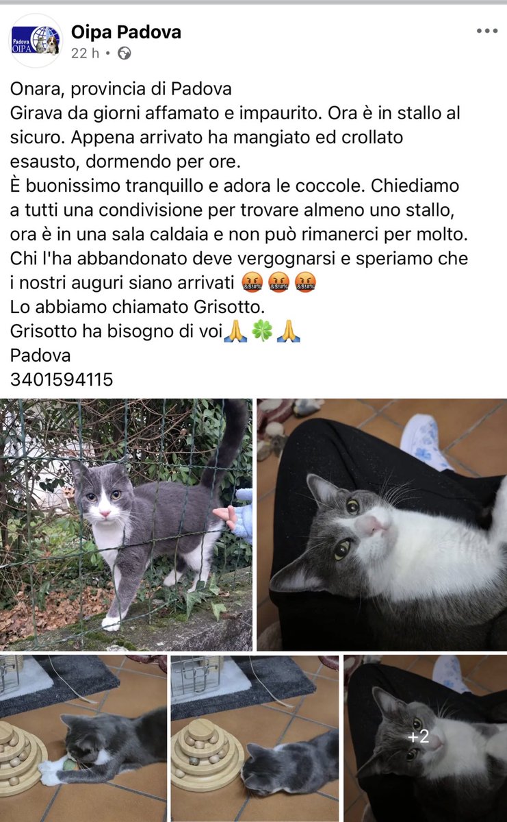 L'importanza delle coccole nell'intimità, image size:741x1200