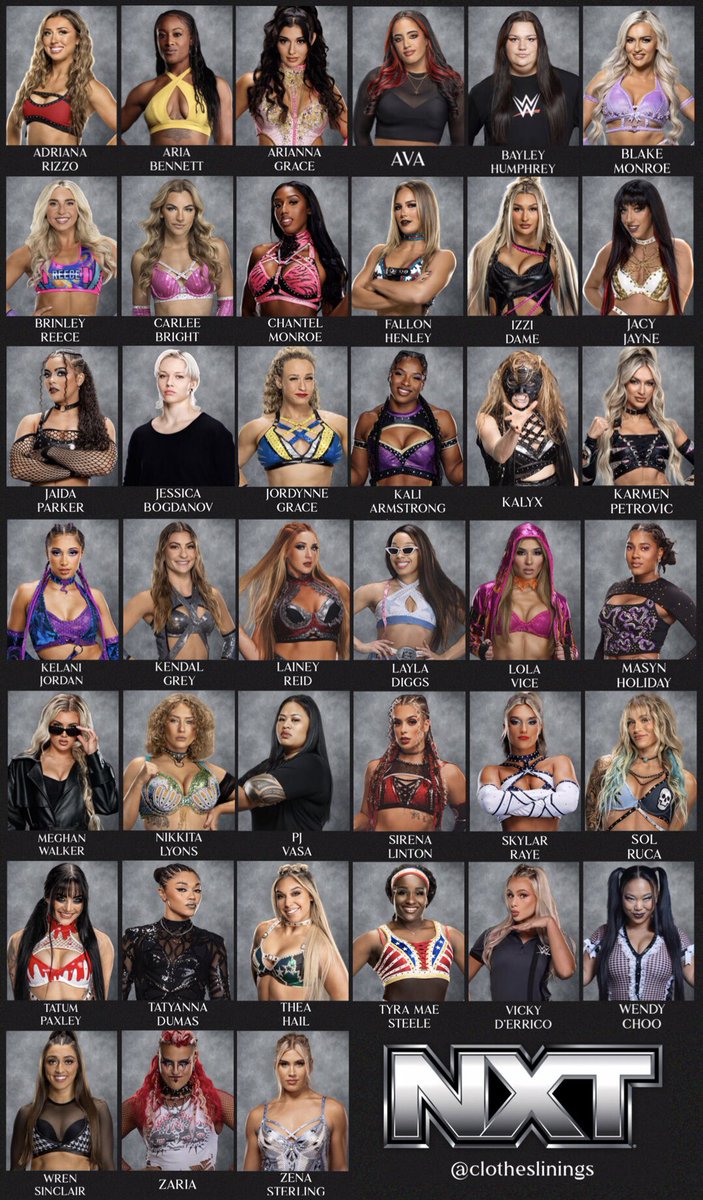 clotheslinings's tweet image. NXT WOMEN’S DIVISION 2026 YEARBOOK 🩶

a thread 🧵: