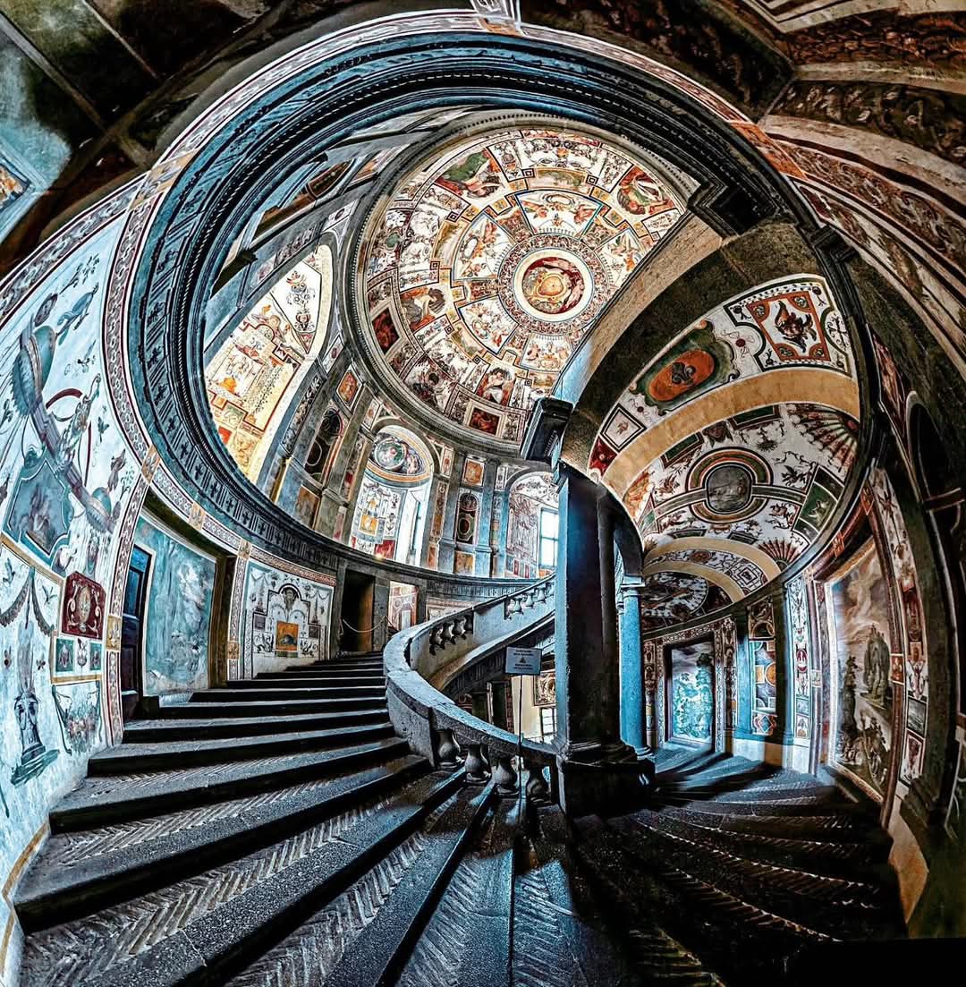 LeoDaVinciWave tweet media