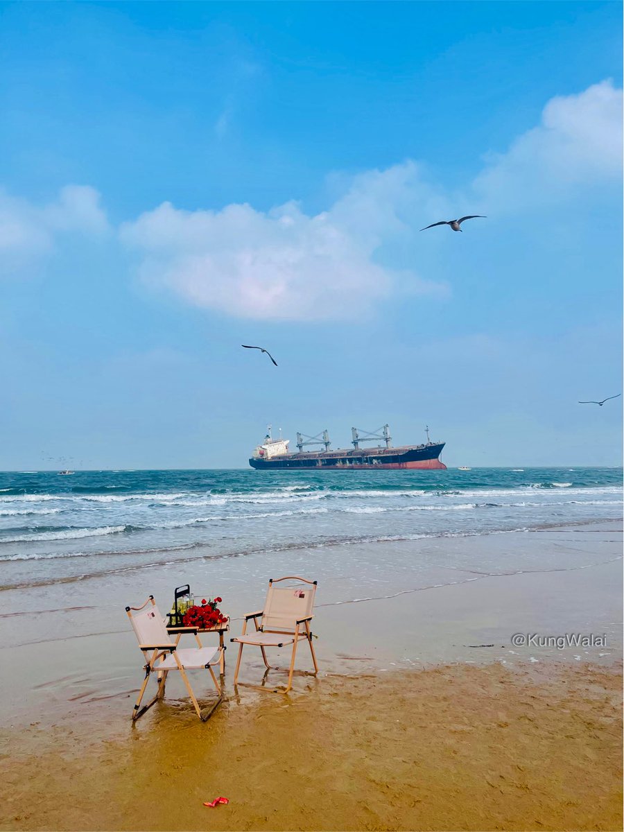 Happy new year 2026 นะคะ <a href="/peckpalit/">Peck Palit</a> 🎉ขอให้เป็นปีที่สดใส สุขภาพกายและใจแข็งแรง ขอให้เราได้เจอกันบ่อยๆ รักและคิดถึง พร้อมสนับสนุนทุกผลงานเสมอนะคะ ❤️❤️❤️ 

เอาทะเลหน้าหนาวมาฝาก เห็นแล้วก็คิดถึงคนรักทะเล 🌊 #เป๊กผลิตโชค #Peckpalitchoke