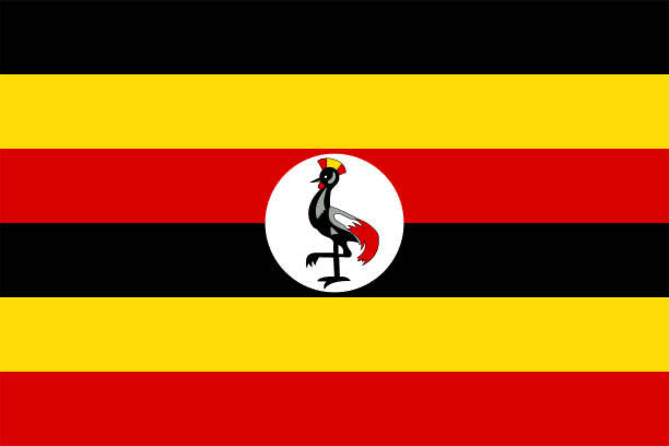 Happy New year, Uganda