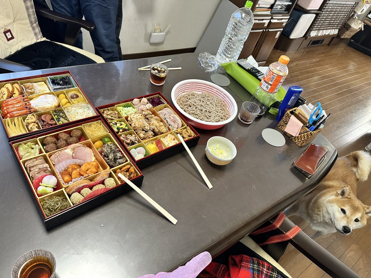 fw_fv5's tweet photo. 明けましておめでとうございます🎍
昨年はみんなのわんこたちに癒され自分の犬🐕🐾をほとんどポストしないという笑
今年は気軽にポストします🥹 https://t.co/WCfULg6DXA