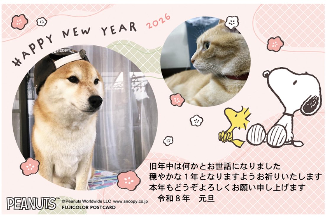 fw_fv5's tweet photo. 明けましておめでとうございます🎍
昨年はみんなのわんこたちに癒され自分の犬🐕🐾をほとんどポストしないという笑
今年は気軽にポストします🥹 https://t.co/WCfULg6DXA