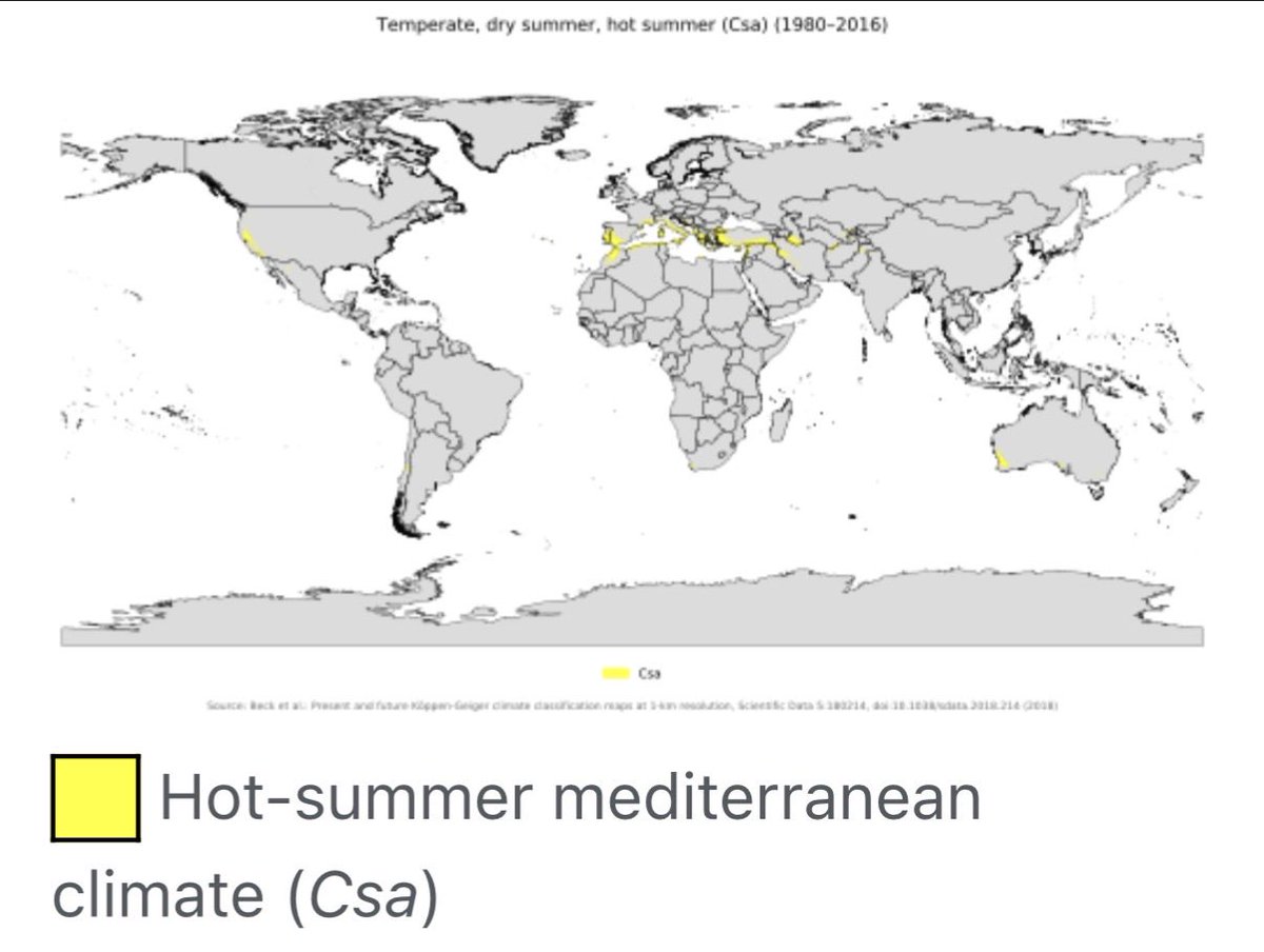 Anuj Abrol tweet media
