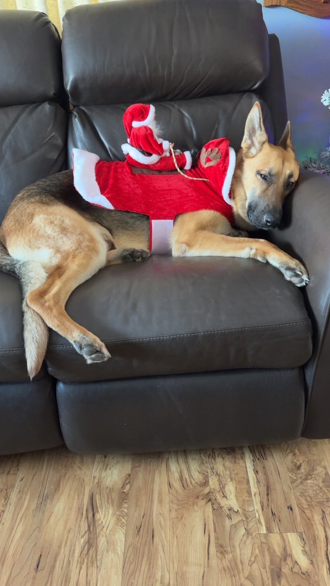 Kyle Rutledge, MS, MHA, AT, ATC tweet media