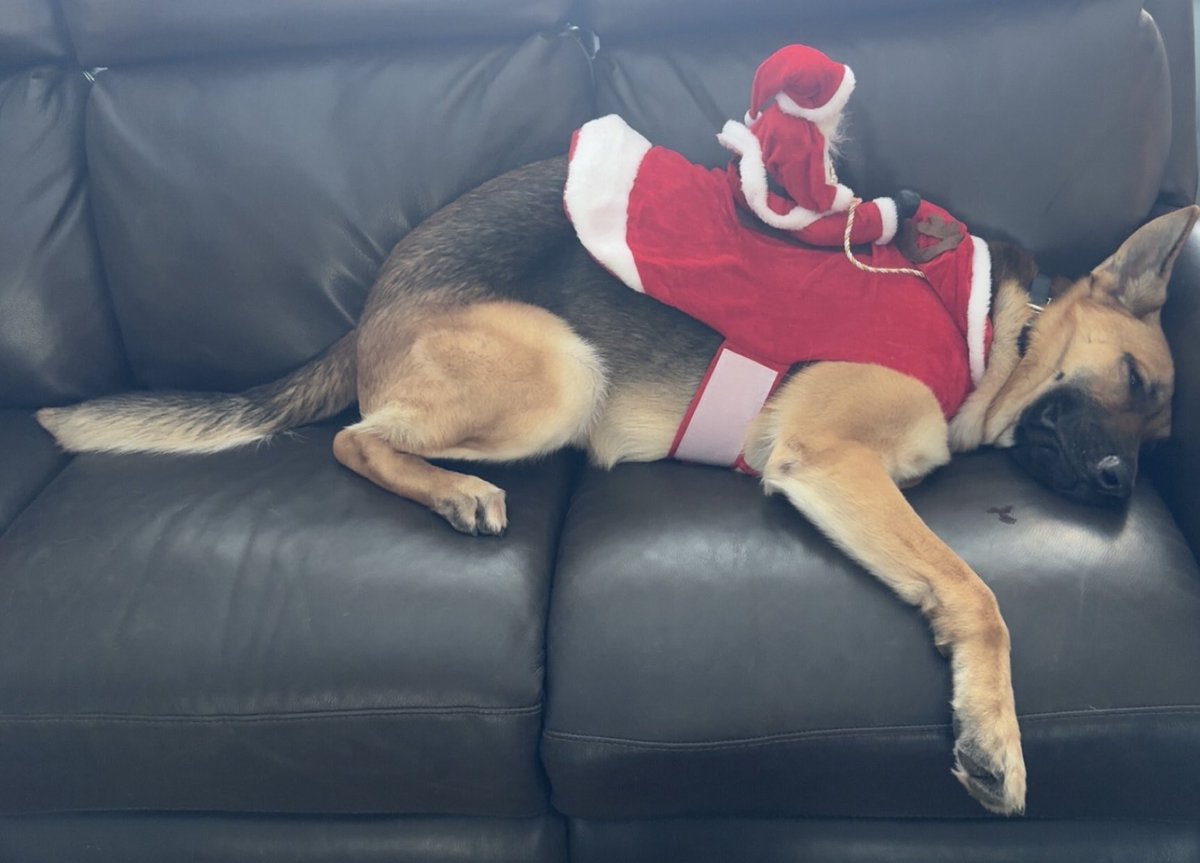 Kyle Rutledge, MS, MHA, AT, ATC tweet media