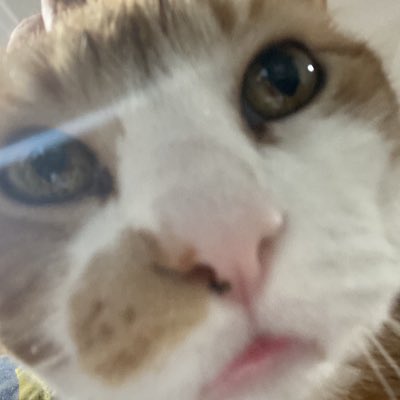 HudYT_'s tweet image. #NewProfilePic