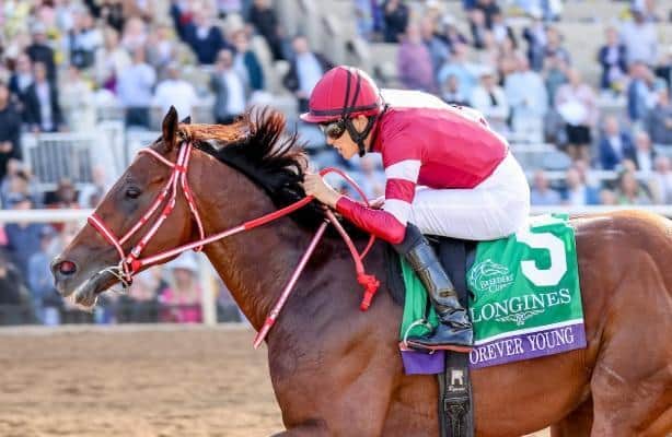 Division rankings: <a href="/DoctorDerby/">Chip Gehrke</a>  explains his Eclipse ballot and horse of the year votes

horseracingnation.com/blogs/Doctor/D…

📸: Kat Turnbull / Eclipse Sportswire