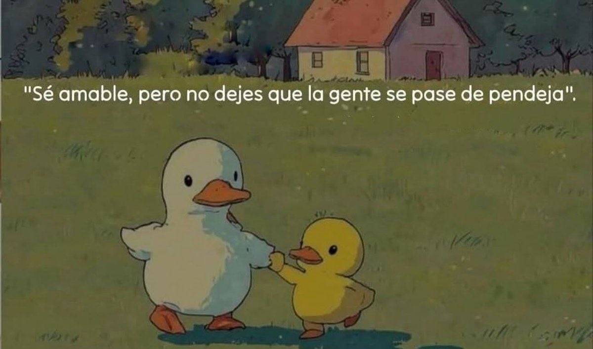 Consejo para este 2026. 👊👌