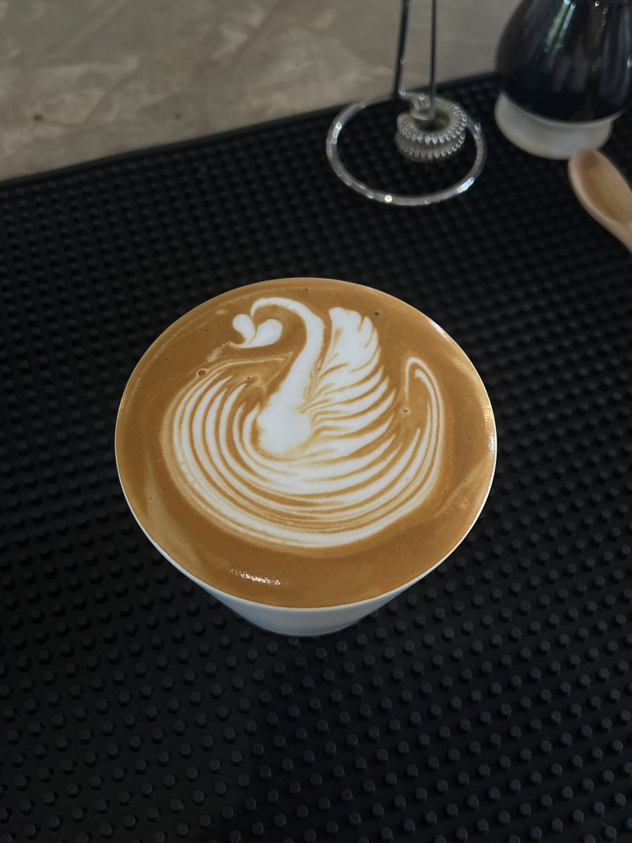 观in put萨 tweet media