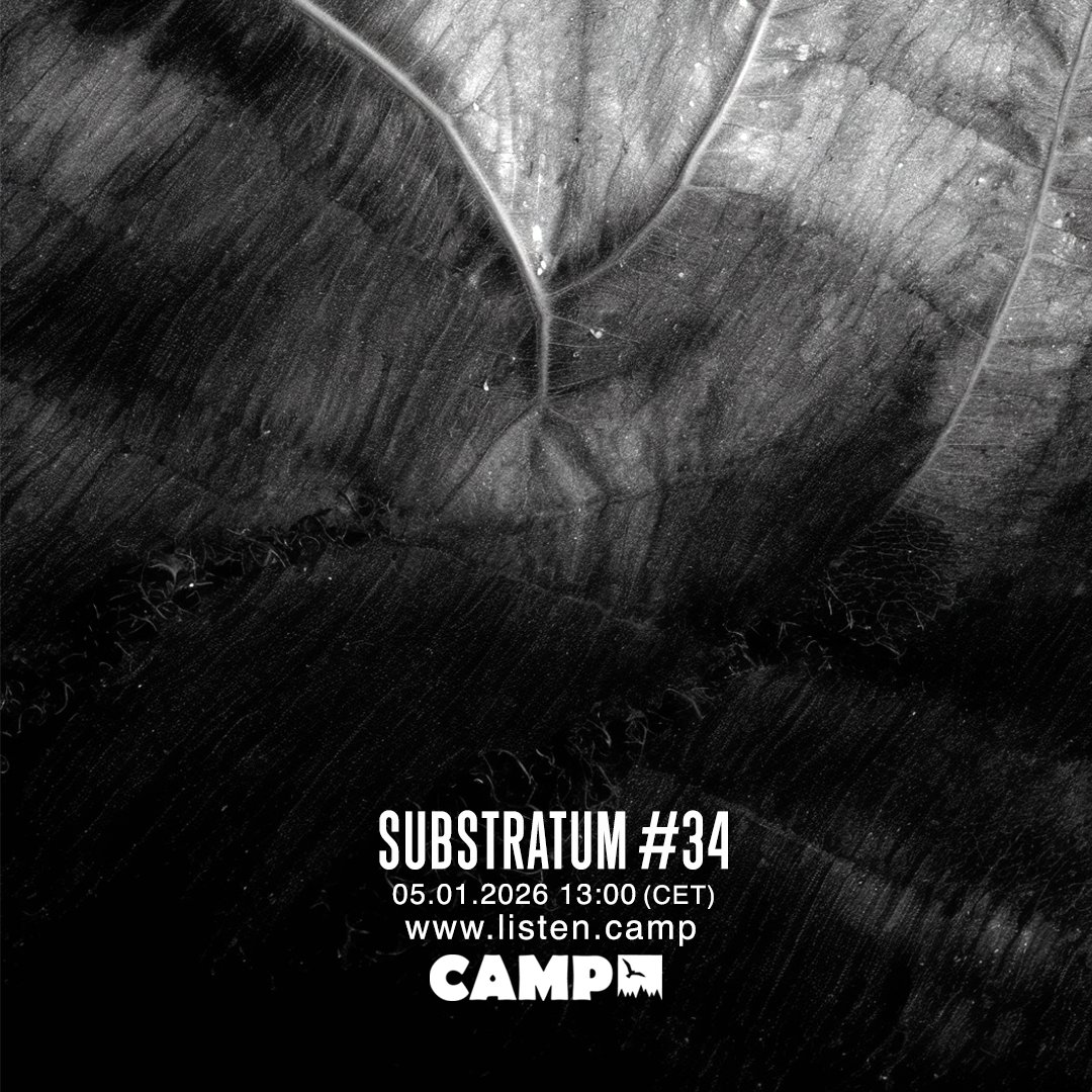 Arash Akbari آرش اکبری tweet media