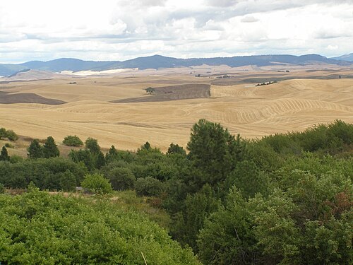 New town every hour tweet media