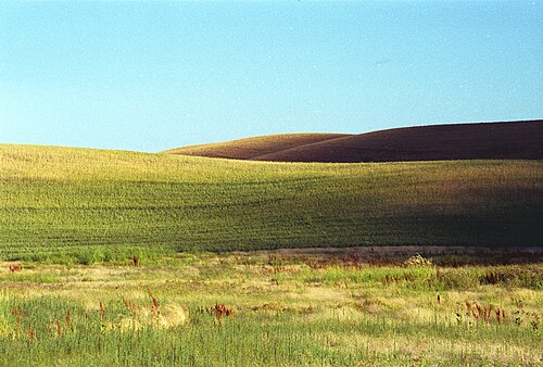 New town every hour tweet media