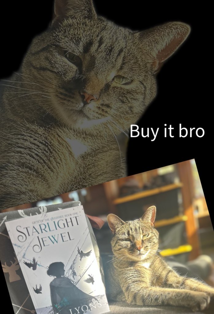 Lyons_Pen's tweet image. MY DARK EPIC FANTASY BOOKS ARE ON #KINDLEUNLIMITED UNTIL FEBRUARY 17TH

That is the last time I will ever use capslock, I feel like I’ve committed a felony 😅