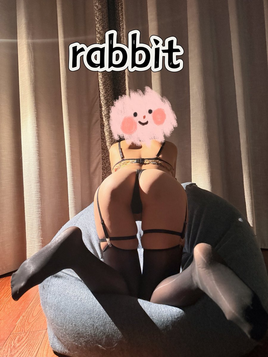 rabbit tweet media
