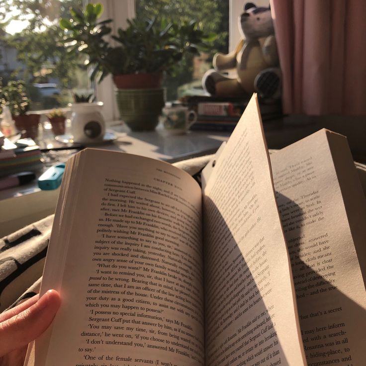 _s_t_e_l_'s tweet photo. .☾𓂃 🍸. ִֶָ   ℒ𝒊𝒗𝒓𝒐𝒔 ℒ𝒊𝒅𝒐𝒔 𝟐𝟎𝟐𝟔   ִ  ۫  ּ  ☽
⠀⠀⠀⠀⠀ ⠀⠀          ➛ 𝒂 𝐭𝒉𝒓𝒆𝒂𝒅 𖤐 https://t.co/9xmQpuIFoD