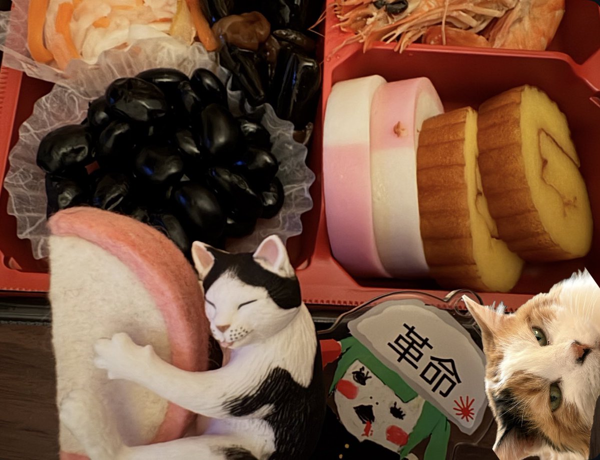 かまぼこ。 (@kamaboko57) / Posts / X