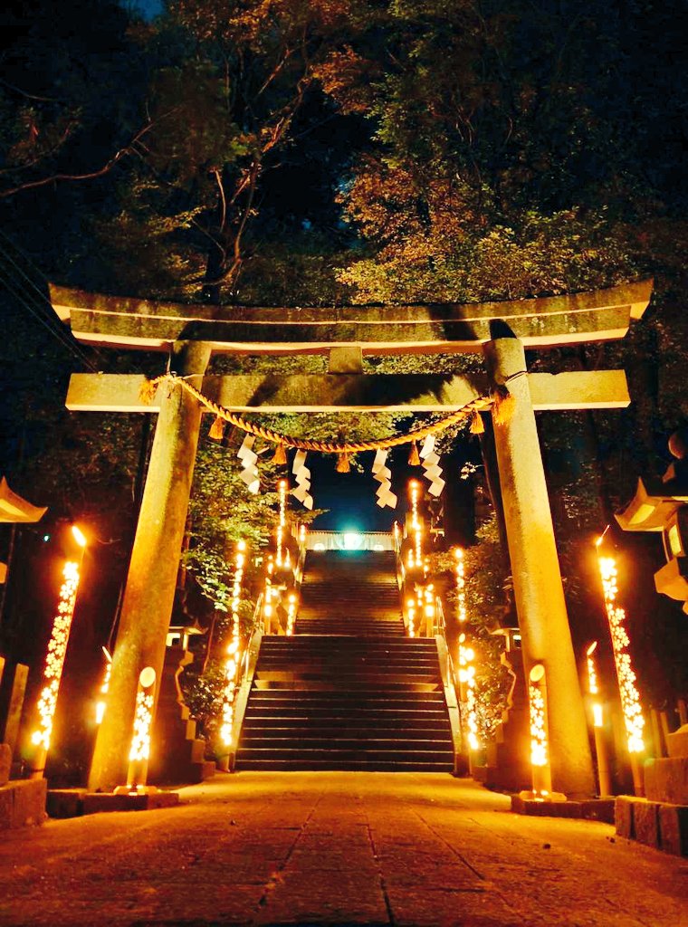 渡邊洋一 tweet media