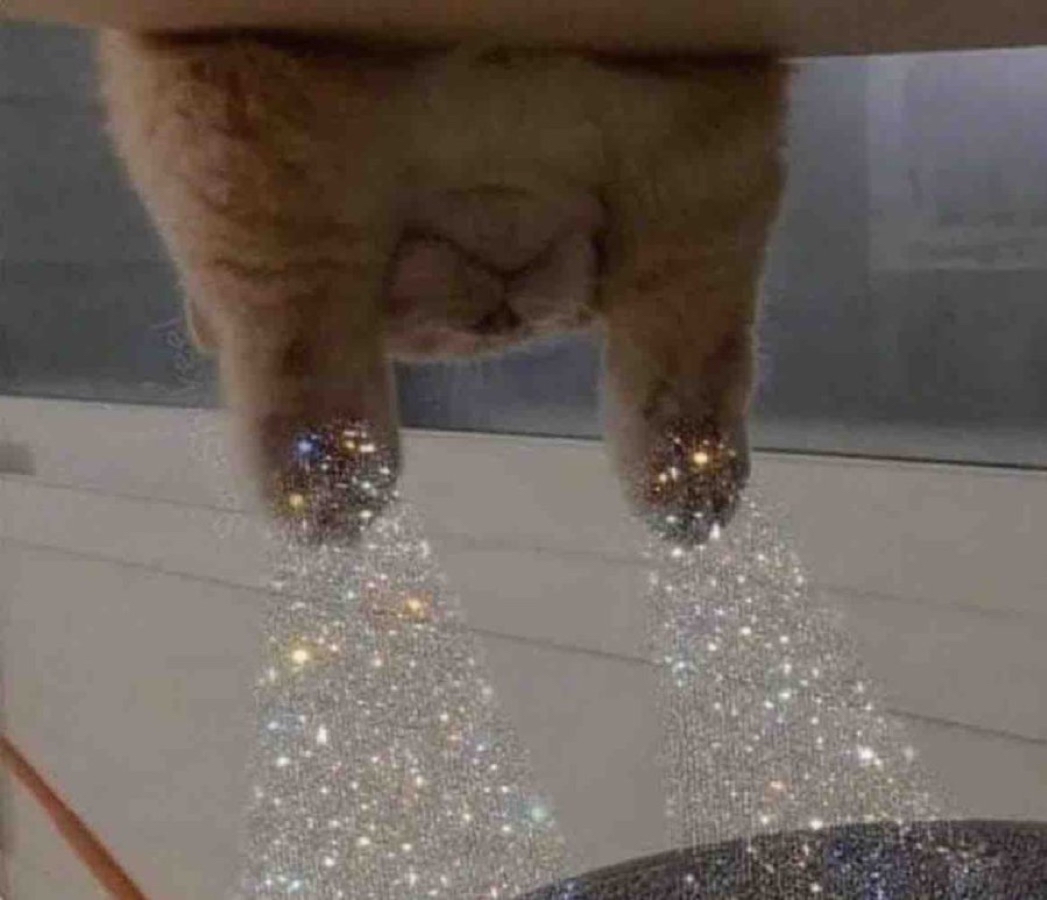 ¡Enhorabuena! Te encontraste al Michi de la buena vibra, tendrás un año estupendo. ✨