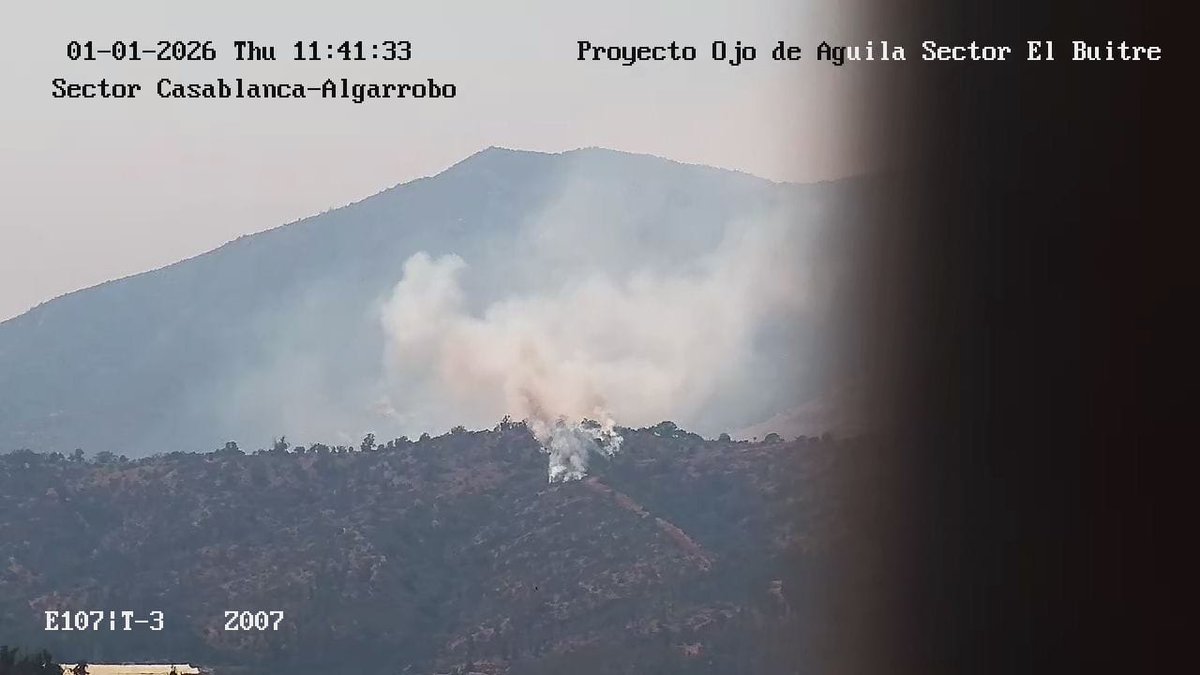 #AHORA: Incendio forestal en el sector de Lagunillas en la comuna de Casablanca.